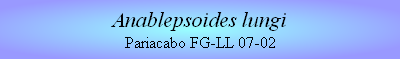 Anablepsoides lungi
Pariacabo FG-LL 07-02
