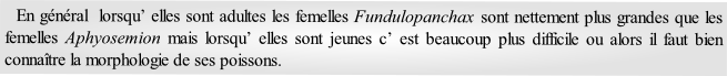   En général  lorsqu’ elles sont adultes les femelles Fundulopanchax sont nettement plus grandes que les femelles Aphyosemion mais lorsqu’ elles sont jeunes c’ est beaucoup plus difficile ou alors il faut bien connaître la morphologie de ses poissons.