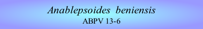 Anablepsoides  beniensis
ABPV 13-6