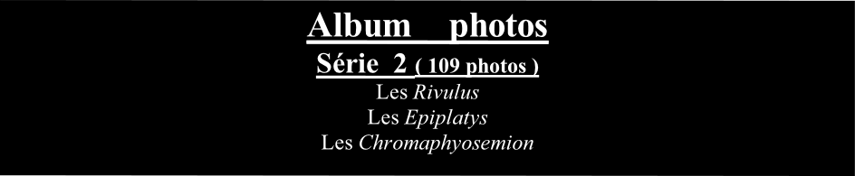Album    photos
Série  2 ( 109 photos )
Les Rivulus
Les Epiplatys
Les Chromaphyosemion
