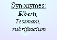 Synonymes:  
Elberti, 
Tessmani,
 rubrifascium
