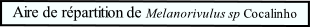 Aire de répartition de Melanorivulus sp Cocalinho