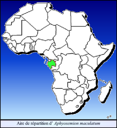 Aire de répartition d’ Aphyosemion maculatum