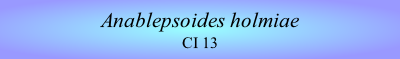 Anablepsoides holmiae
CI 13
