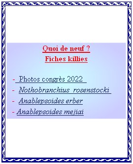 Quoi de neuf ?
Fiches killies

		 -  Photos congrès 2022  
   -  Nothobranchius  rosenstocki	
	 	-  Anablepsoides erber 
   - Anablepsoides mejiai