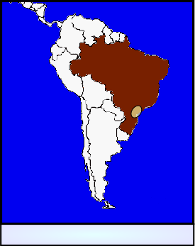 Aire de répartition de Notholebias minimus