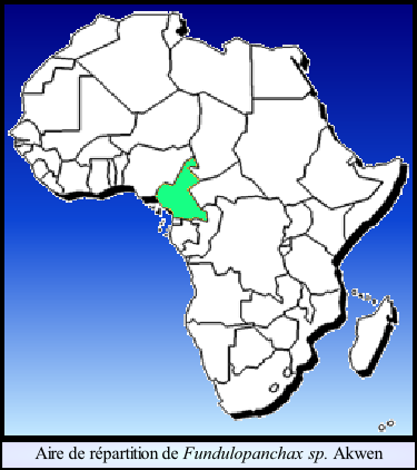 Aire de répartition de Fundulopanchax sp. Akwen