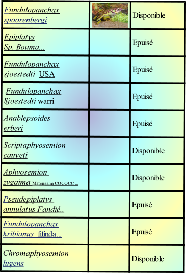Chromaphyosemion lugens
