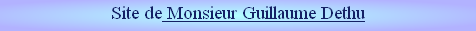 Site de Monsieur Guillaume Dethu