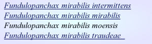 Fundulopanchax mirabilis intermittens
Fundulopanchax mirabilis mirabilis
Fundulopanchax mirabilis moensis
Fundulopanchax mirabilis traudeae																