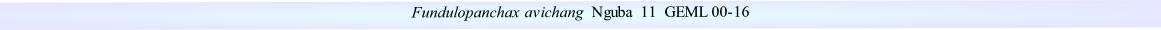 Fundulopanchax avichang  Nguba  11  GEML 00-16
