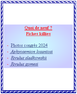 Quoi de neuf ?
Fiches killies

		 -  Photos congrès 2024
   -  Aphyosemion losantosi
  	-  Rivulus sladkowskii
   -  Rivulus gomesi