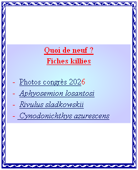 Quoi de neuf ?
Fiches killies

		 -  Photos congrès 2026
   -  Aphyosemion losantosi
  	-  Rivulus sladkowskii
   -  Cynodonichthys azurescens